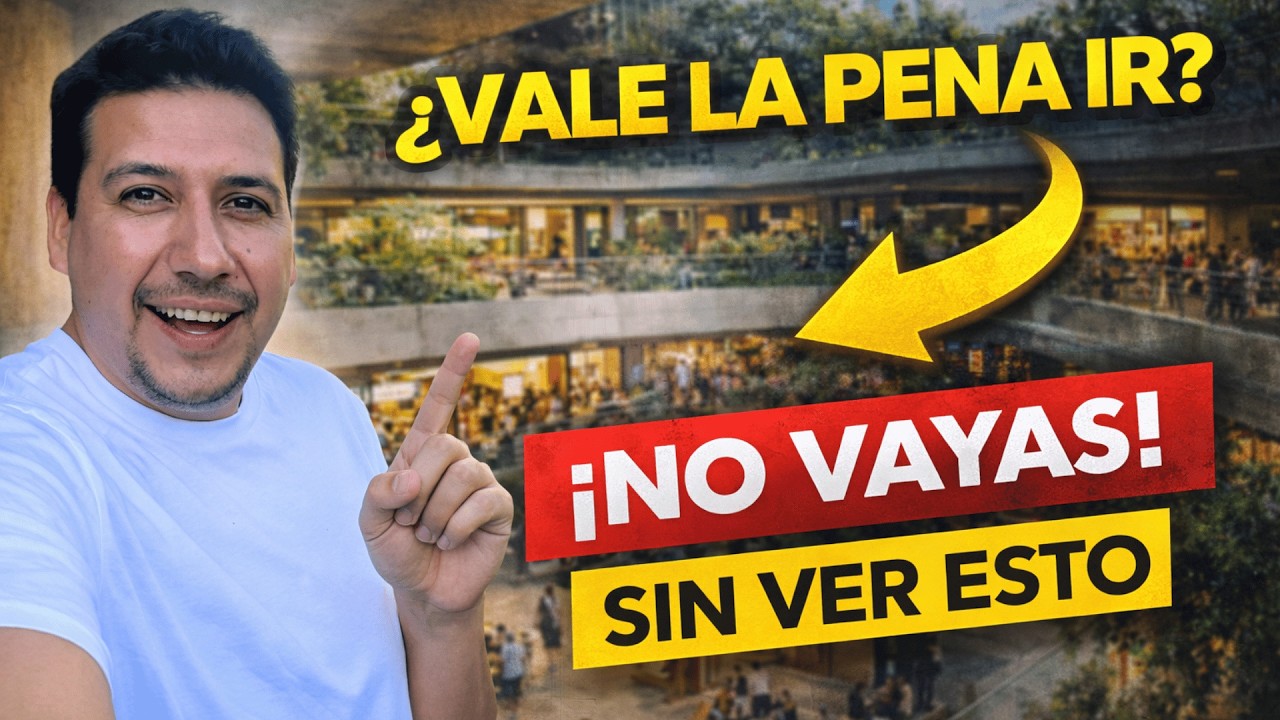 Entré al MUT… ¿realmente vale la pena ir? No vayas sin ver esto