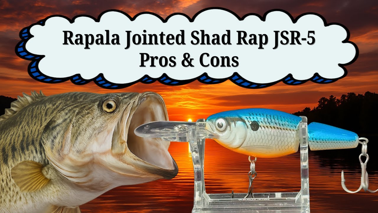 Rapala Jointed Shad Rap JSR-5 Pros & Cons