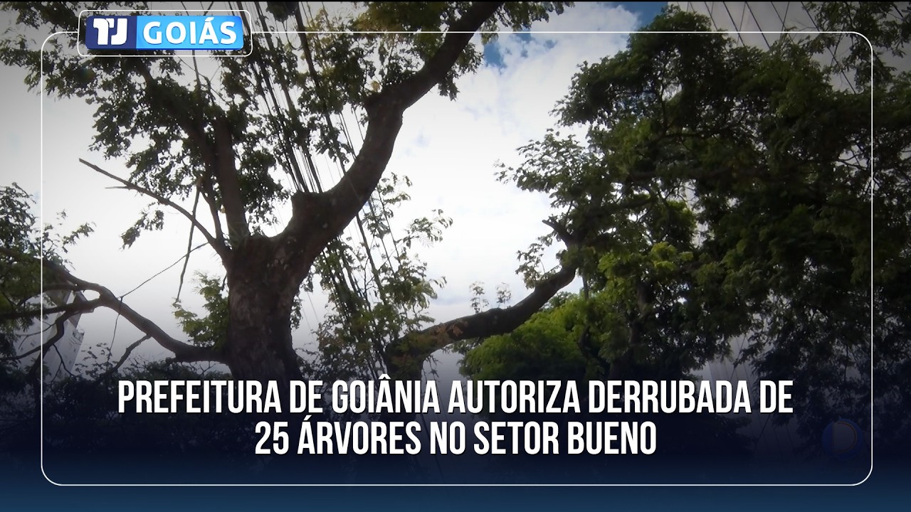 PREFEITURA DE GOIÂNIA AUTORIZA DERRUBADA DE 25 ÁRVORES NO SETOR BUENO