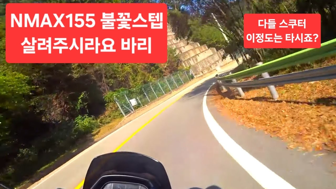 신형 NMAX155로 지옥의 코너 풀스로틀로 타는 미친사람. 평화의댐 와인딩 박무혁TV