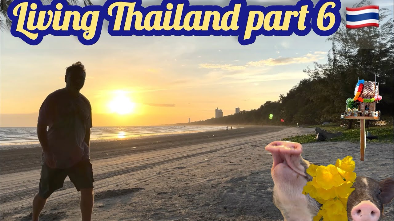 Living the dream, Thailand, Ban Phe 06/2024
