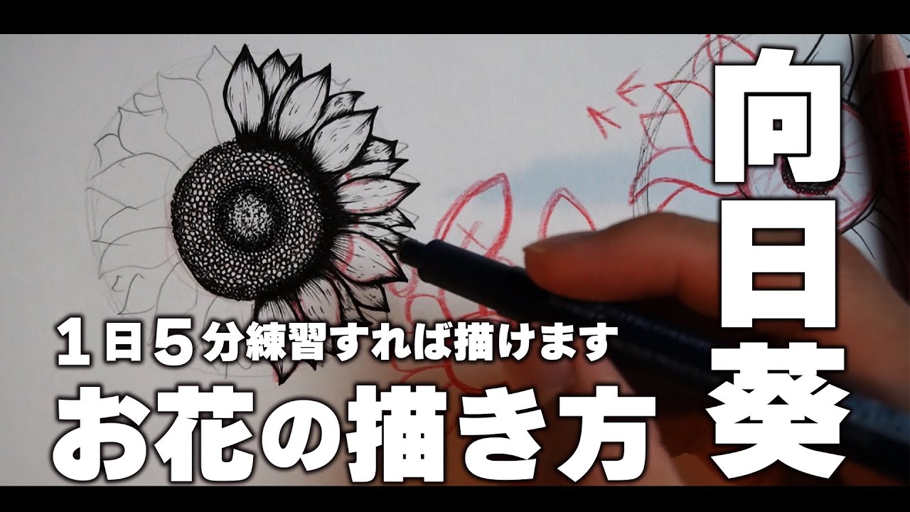 【1日5分】絵師が独学で学んだ『お花の描き方』をご紹介!!ペン画テクニック【絵描き初心者向け】