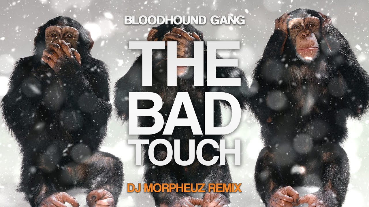 Bloodhound Gang - The Bad Touch (DJ MorpheuZ Remix) - Slap House, Car Music, Bass Music...