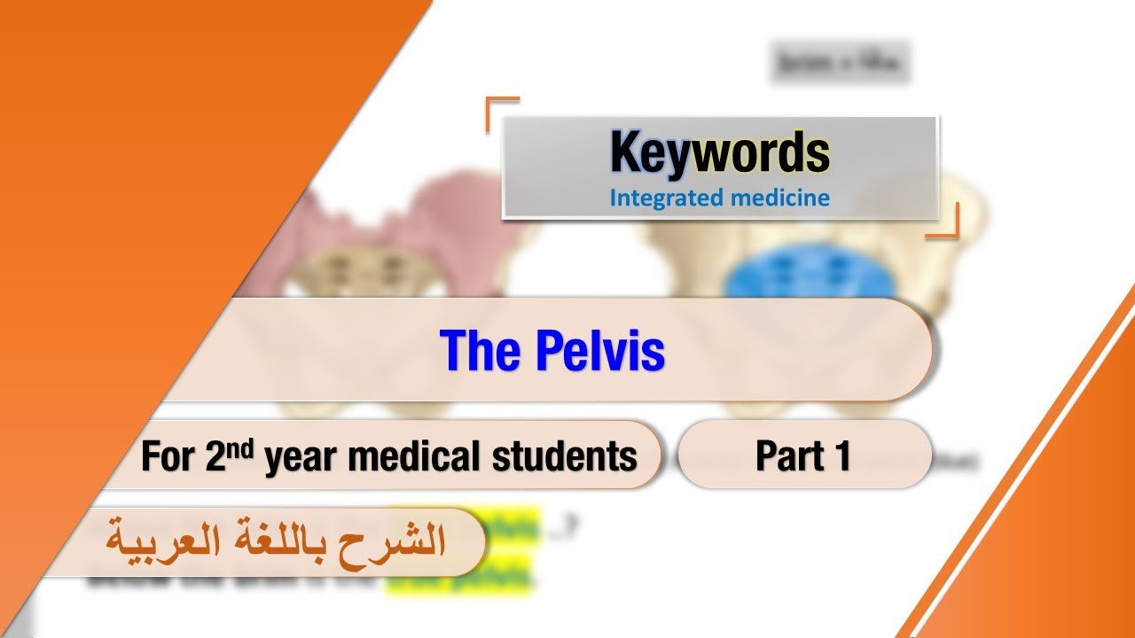 The Pelvis (part 1)