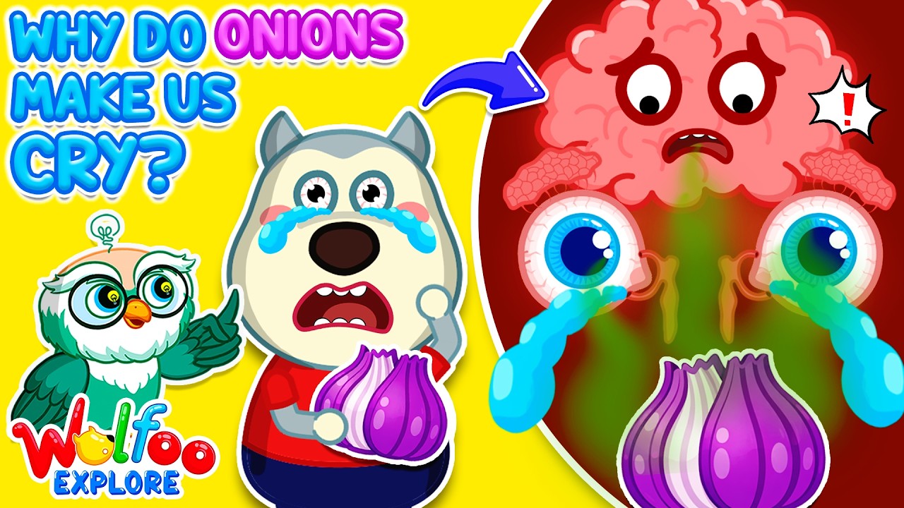 NEW | Wolfoo Explore 🔍 Why Do Onions Make Us Cry? 🧅 Wolfoo Channel | Kids Cartoon