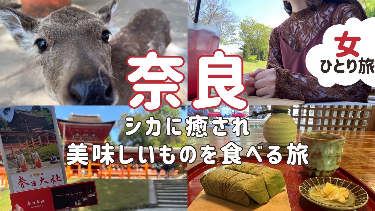 【奈良観光･女一人旅】日帰りモデルコースで美味しいグルメを堪能🦌⛩