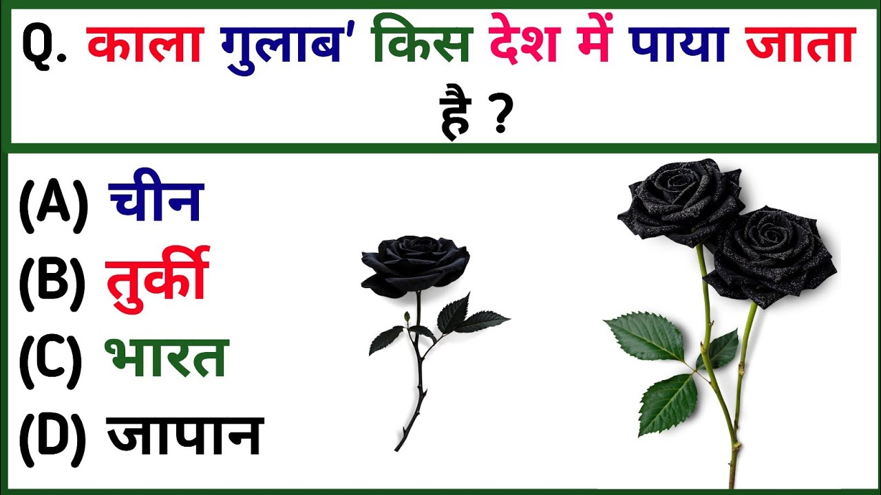 GK important question Answer || GK in Hindi || Gk Quiz || GK gyan 