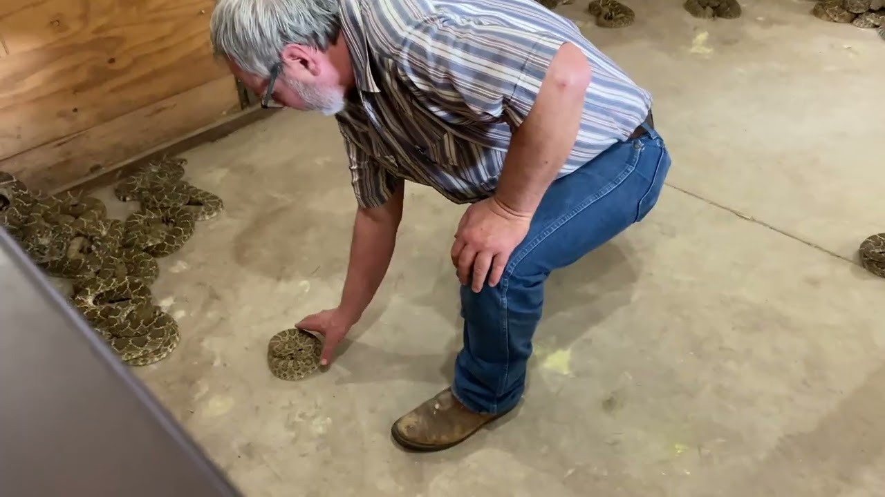 Waynoka Rattlesnake Hunt 2022