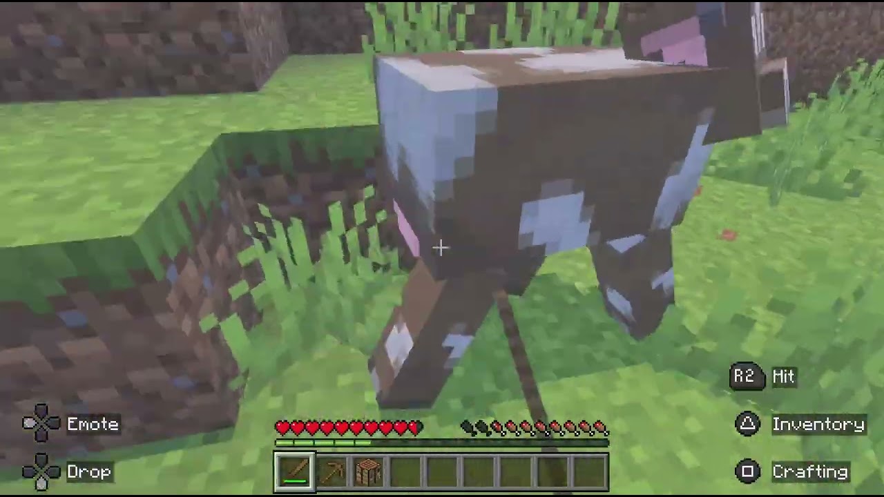 Minecraft episode 1 season 1