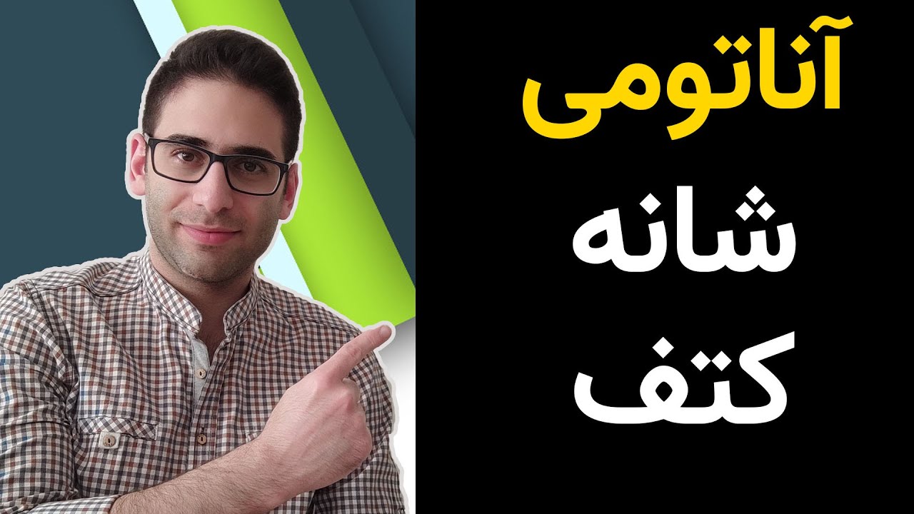 آناتومی شانه و کتف