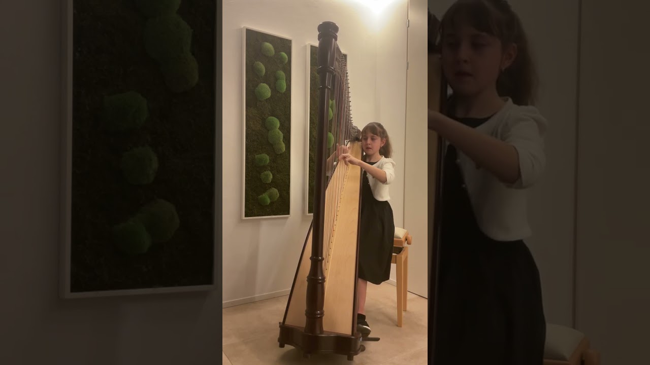 Karel Svoboda, Drei Nüsse für Aschenbrödel, Katharina Eichbauer, Harp
