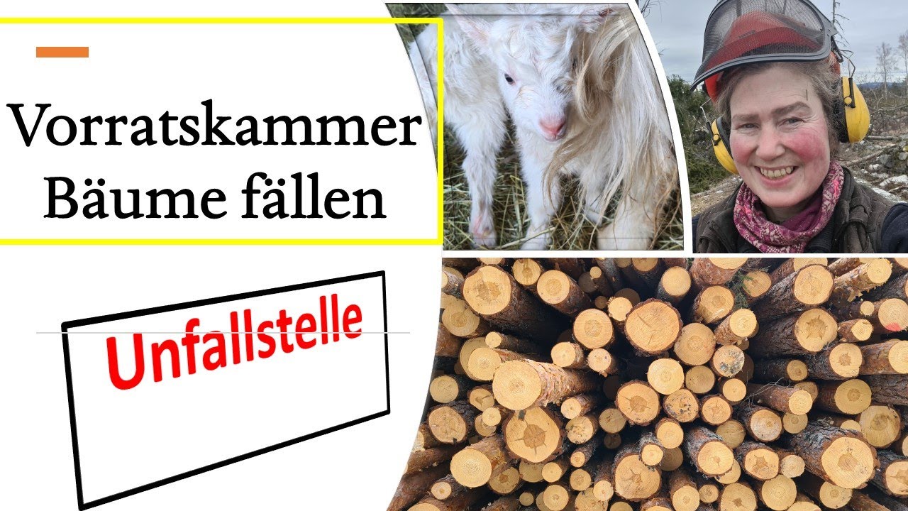Vorratskammer im Frühling in Schweden