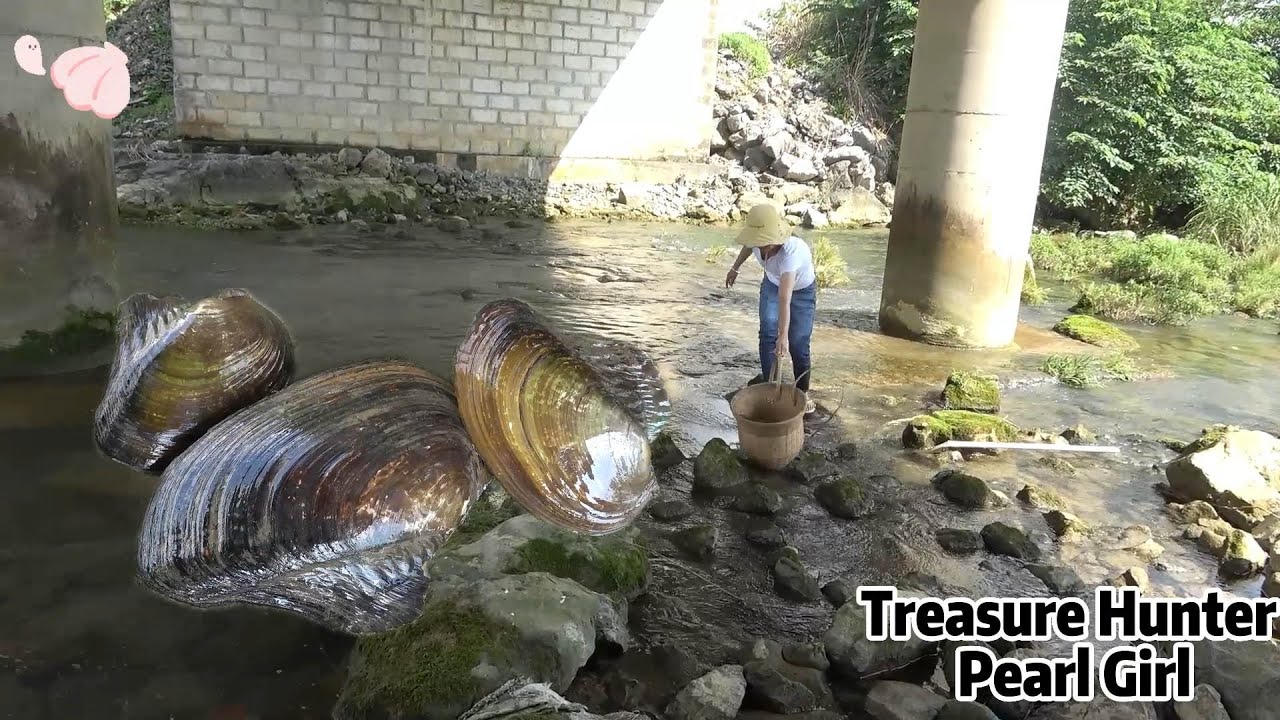 A scallop bigger than a head was found in the quietly flowing river under the bridge
