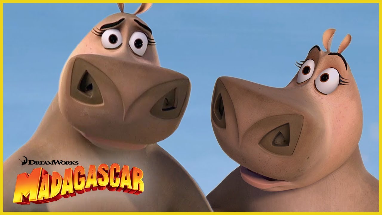 ¡Gloria, Gloria, Gloriaaa! 👑🦛⭐️ | DreamWorks Madagascar en Español Latino