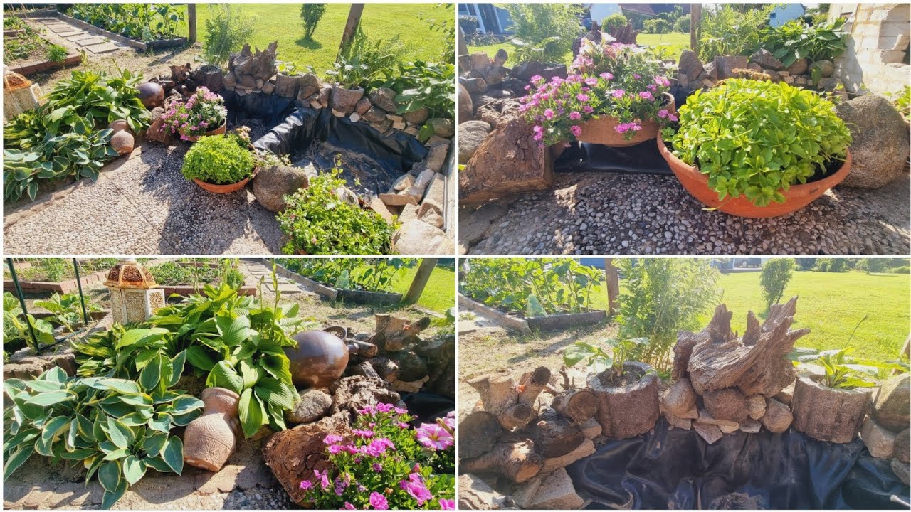خطوات تأسيس بركة مياه بيئية 🏞من الصفر ، وبصفر تكلفة😍👌