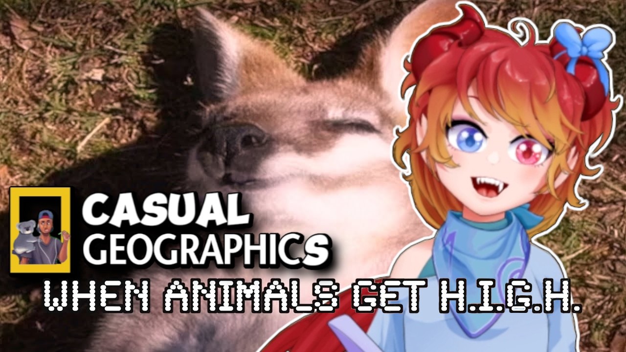 ADHD Vtuber's When Animals Get “Elevated” Casual Geographic Reaction