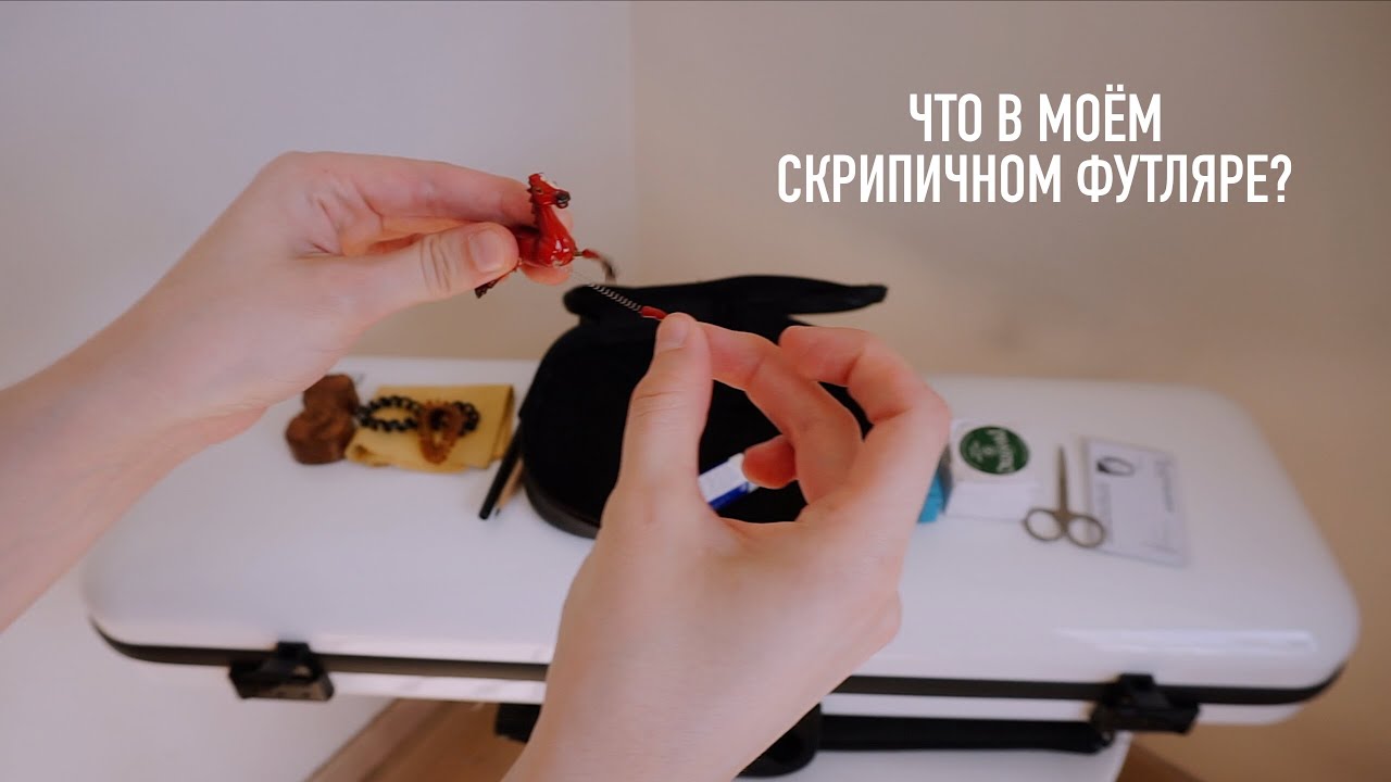 Что в моём футляре? | Аксессуары для чистки скрипки и смычка