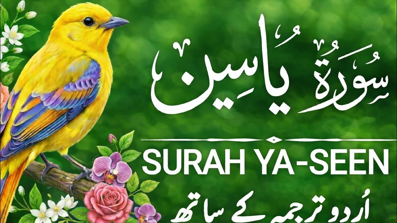 Surah Yasin with Urdu Translation Full 2/9/2026| For Today February 9, 2026