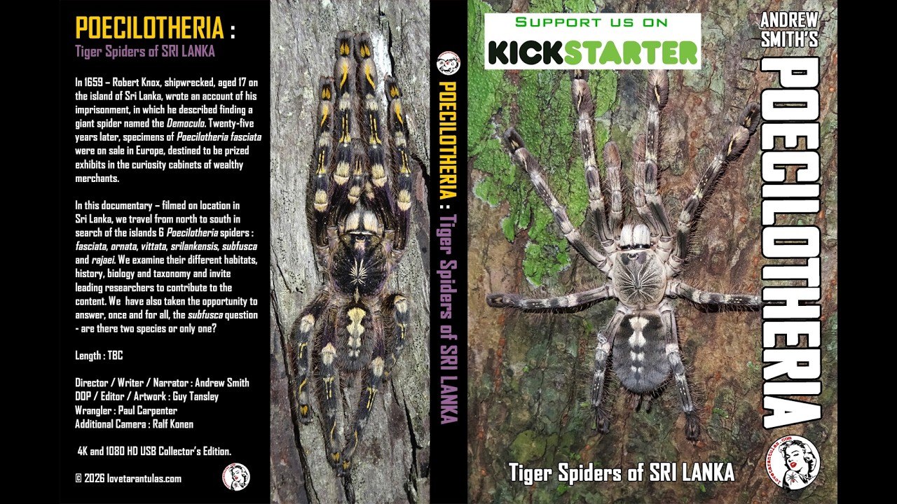 New Documentary - POECILOTHERIA : Tiger Spiders of Sri Lanka