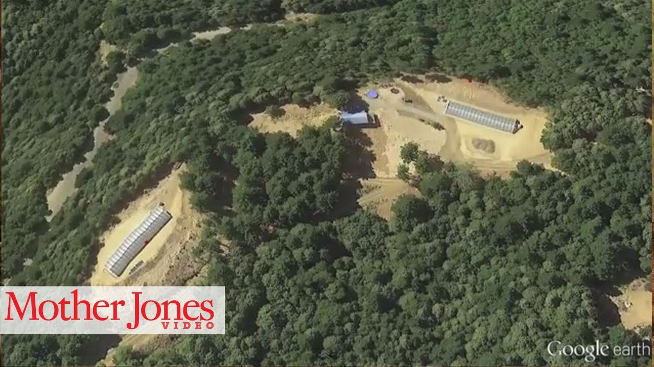 Google Earth Reveals Devastation Caused by Marijuana Growers
