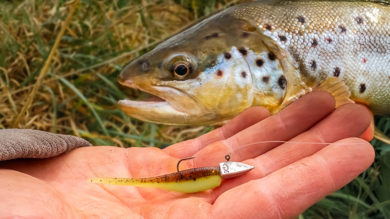 Ein Köder für jede Forelle - Forellenangeln mit dem Dart-Jig 🎯