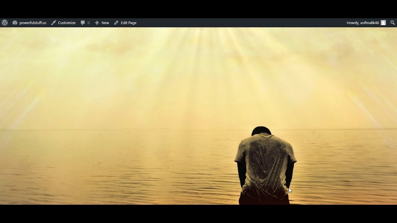 How to make a wordpress Blank page without headers or menu