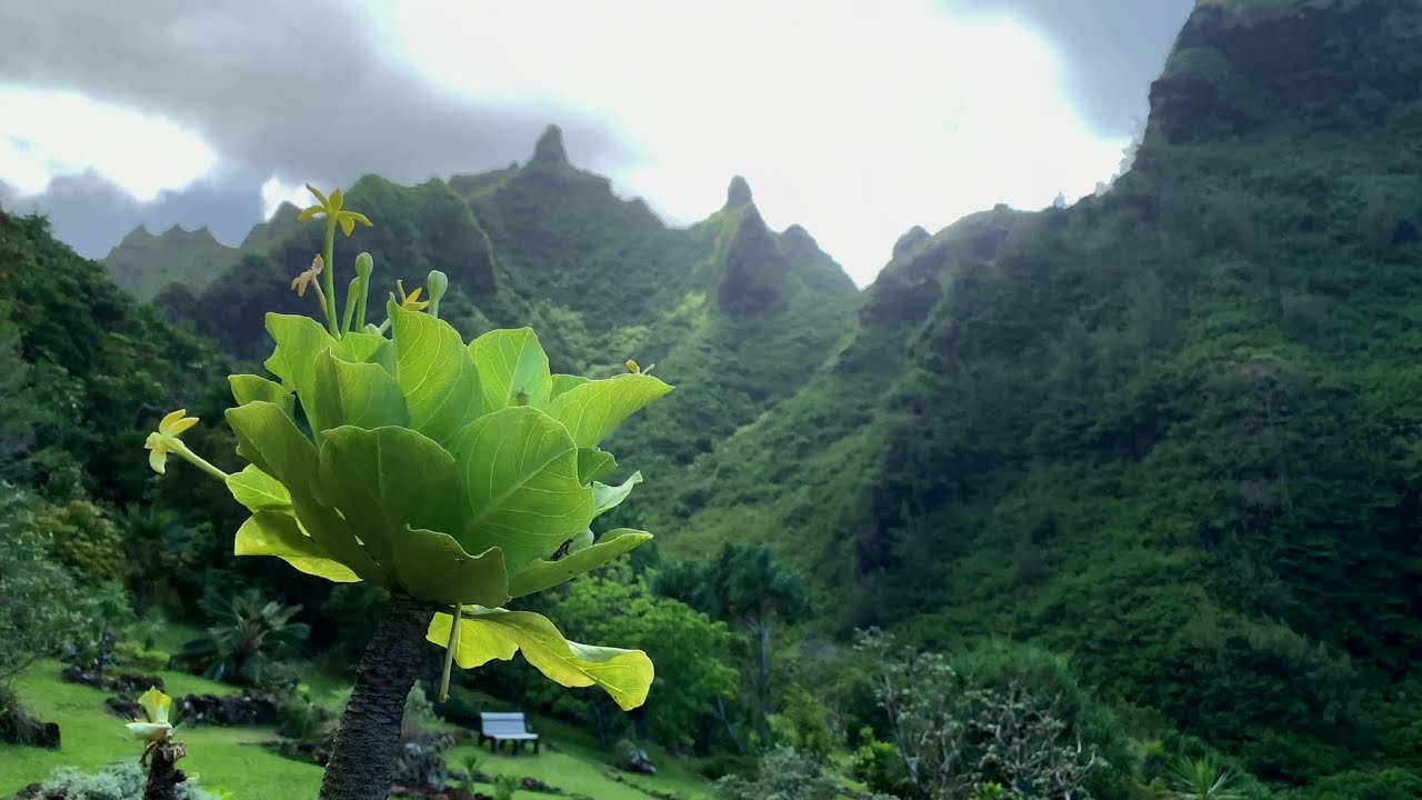 Hawaii Education Series: Ahupua'a