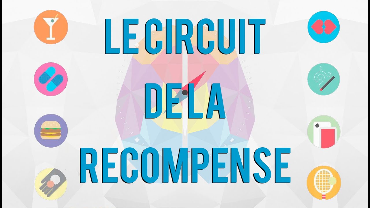 Le Circuit de la R&eacute;compense