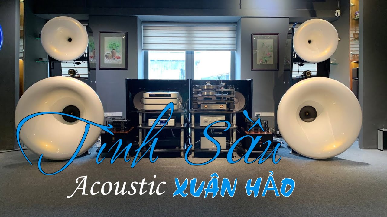 Album TÌNH SẦU ACOUSTIC - XUÂN HẢO | NHỮNG GIAI ĐIỆU SÂU LẮNG 