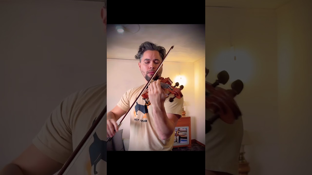 As&iacute; suena MOZART al VIOLIN