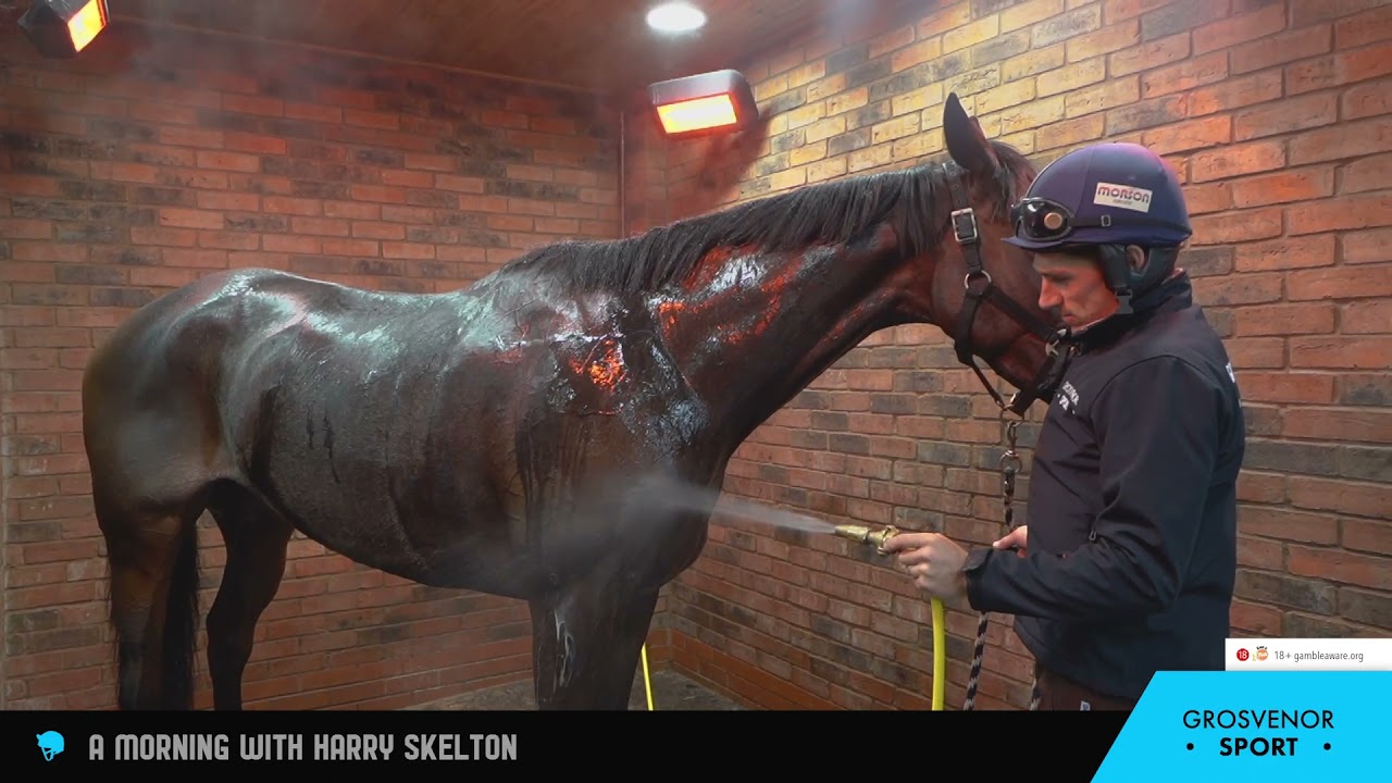 A Morning with Harry Skelton