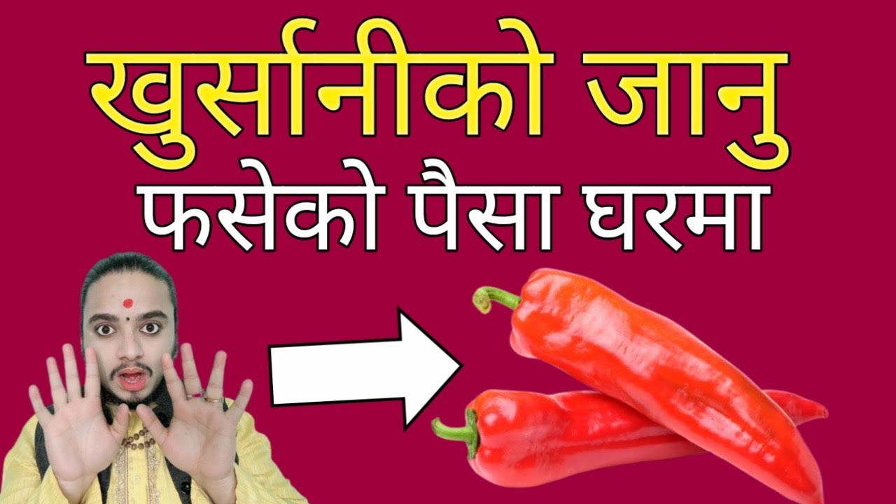 खुर्सानिको जादु फसेको पैसा घरमा/shreeguru/फसेको पैसा उठाउने उपाय