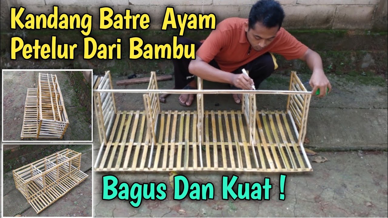 Membuat Kandang Batre Ayam Petelur Dari Bambu‼️Bagus Dan Kuat
