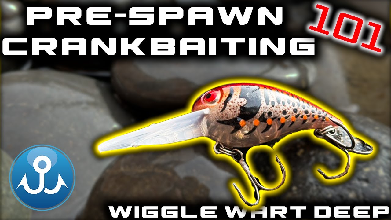 One of my BEST Pre-Spawn Crankbaits: Wiggle Wart Deep