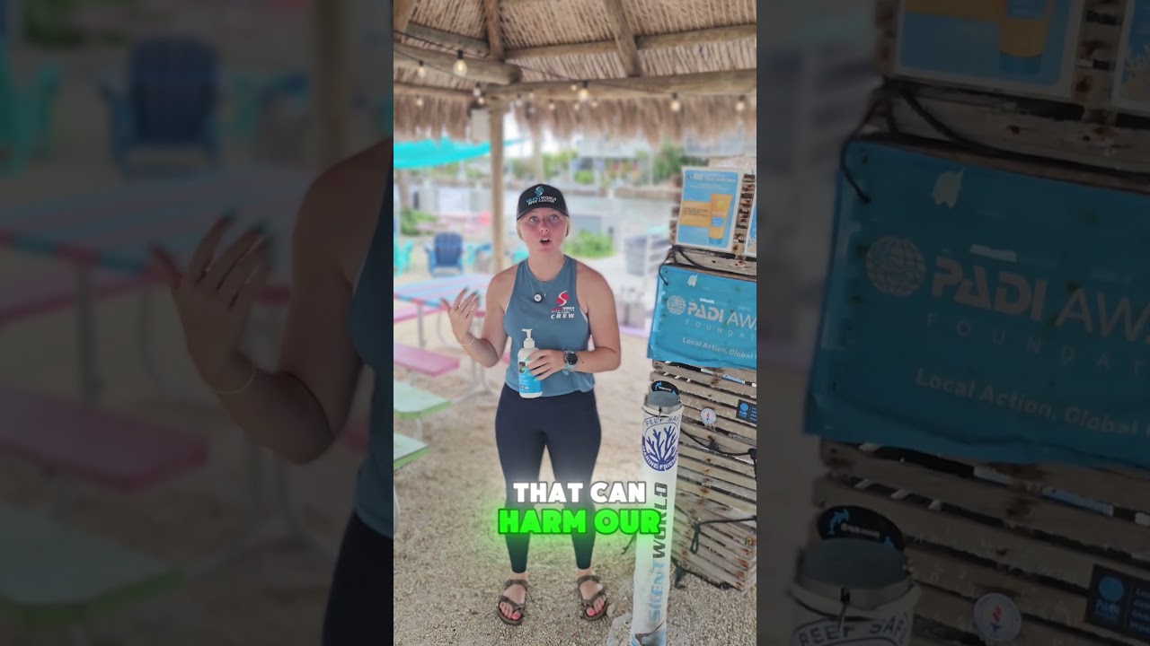 The Best Sunscreen for the Florida Keys (Reef-Safe!) 🌞🪸