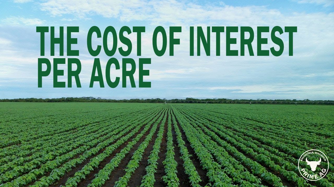 The surprising cost of interest per acre on your crops