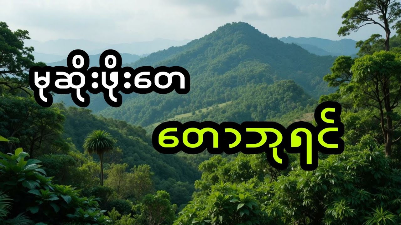 မုဆိုးဖိုးတေ နှင့် တောဘုရင် (အစအဆုံး)
