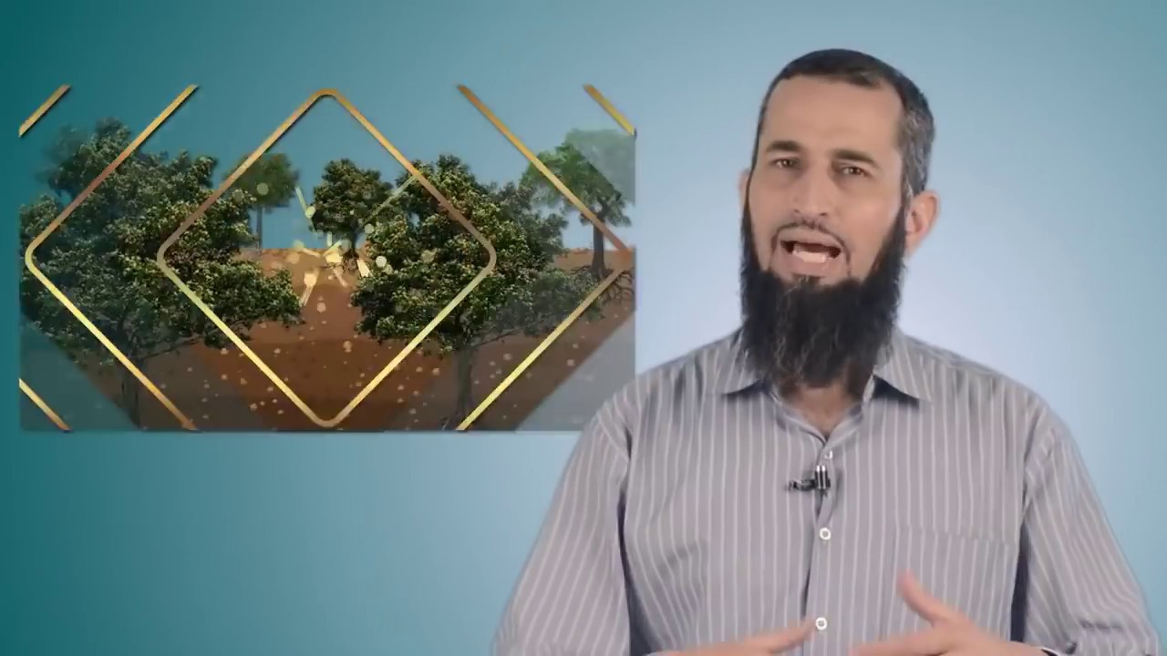 رحلة اليقين ٢: الفوائد الستة من أدلة وجود الله للموقن أصلا بوجوده