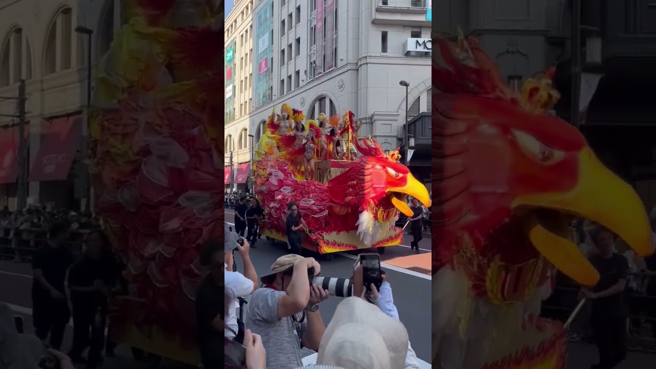 The passion of Japanese samba dancers is electric #sambadance #sambadancers #braziliandancer #japan
