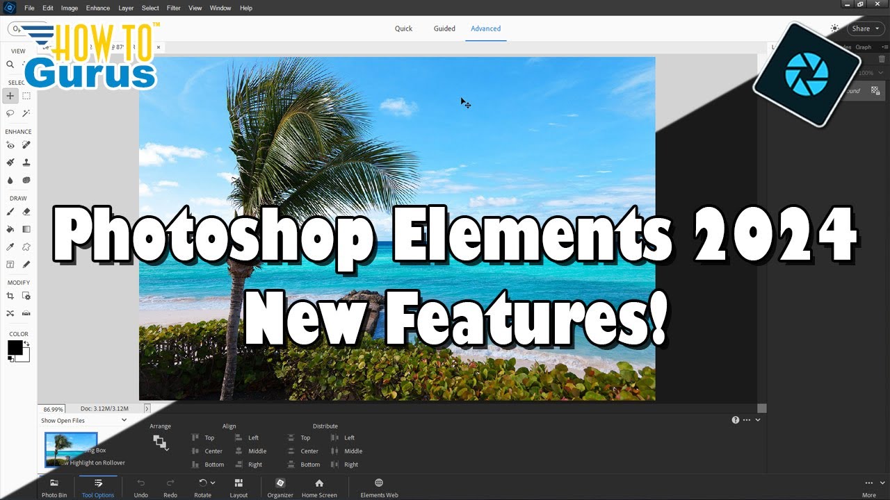 Что нового в Photoshop Elements 2024?