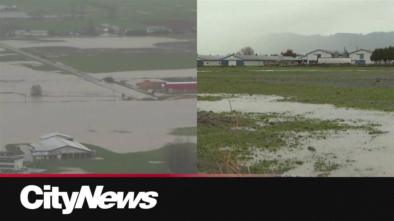 Recovery continues in Abbotsford as more evacuations order lifted