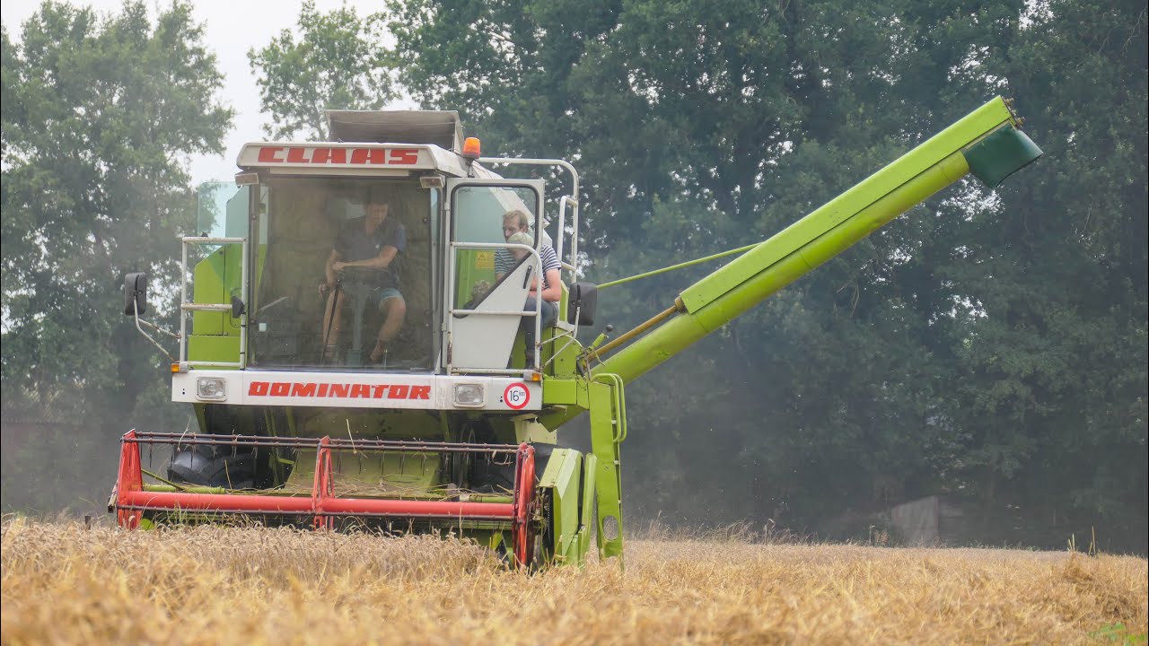 Grain harvest | Claas Dominator 78 + Fendt 818