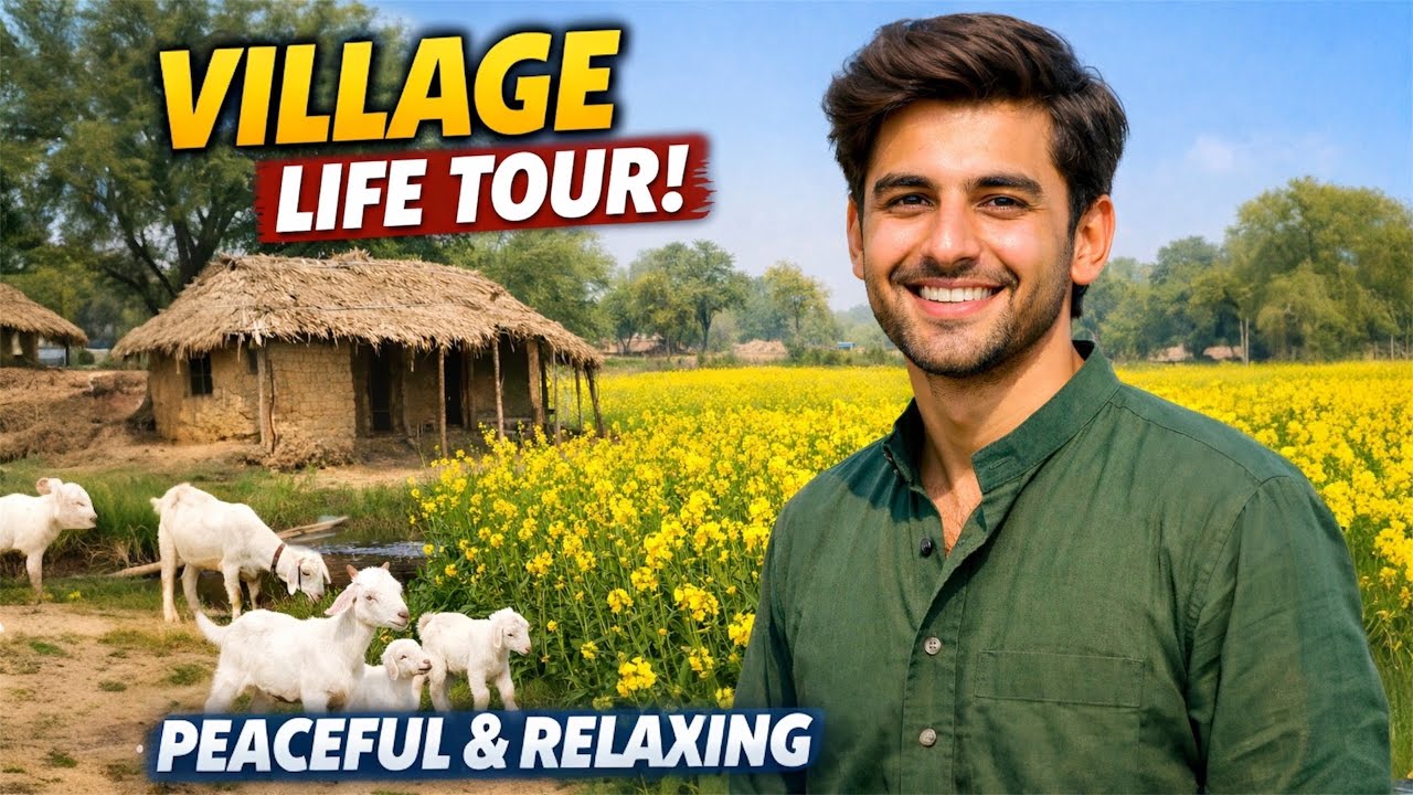 Mere Gaon Ki Pur Sukoon Zindagi 🌼 Mustard Fields & Fresh Springs Walk Tour