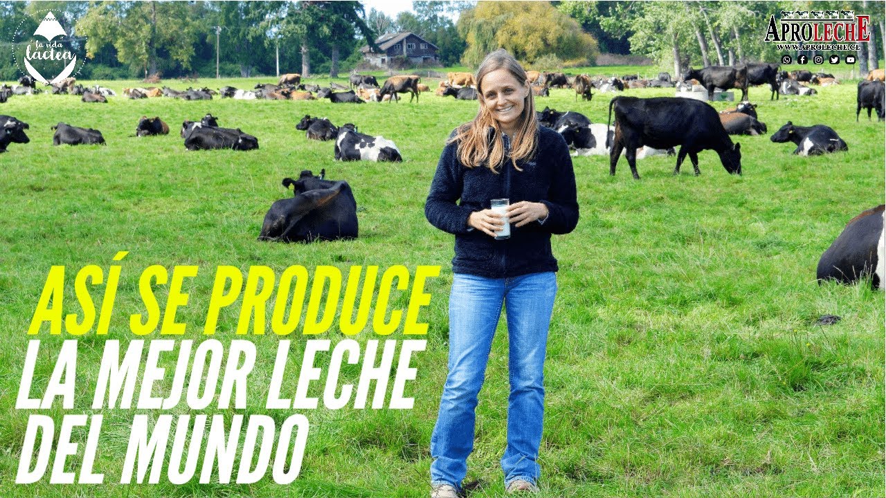 La mejor leche del mundo