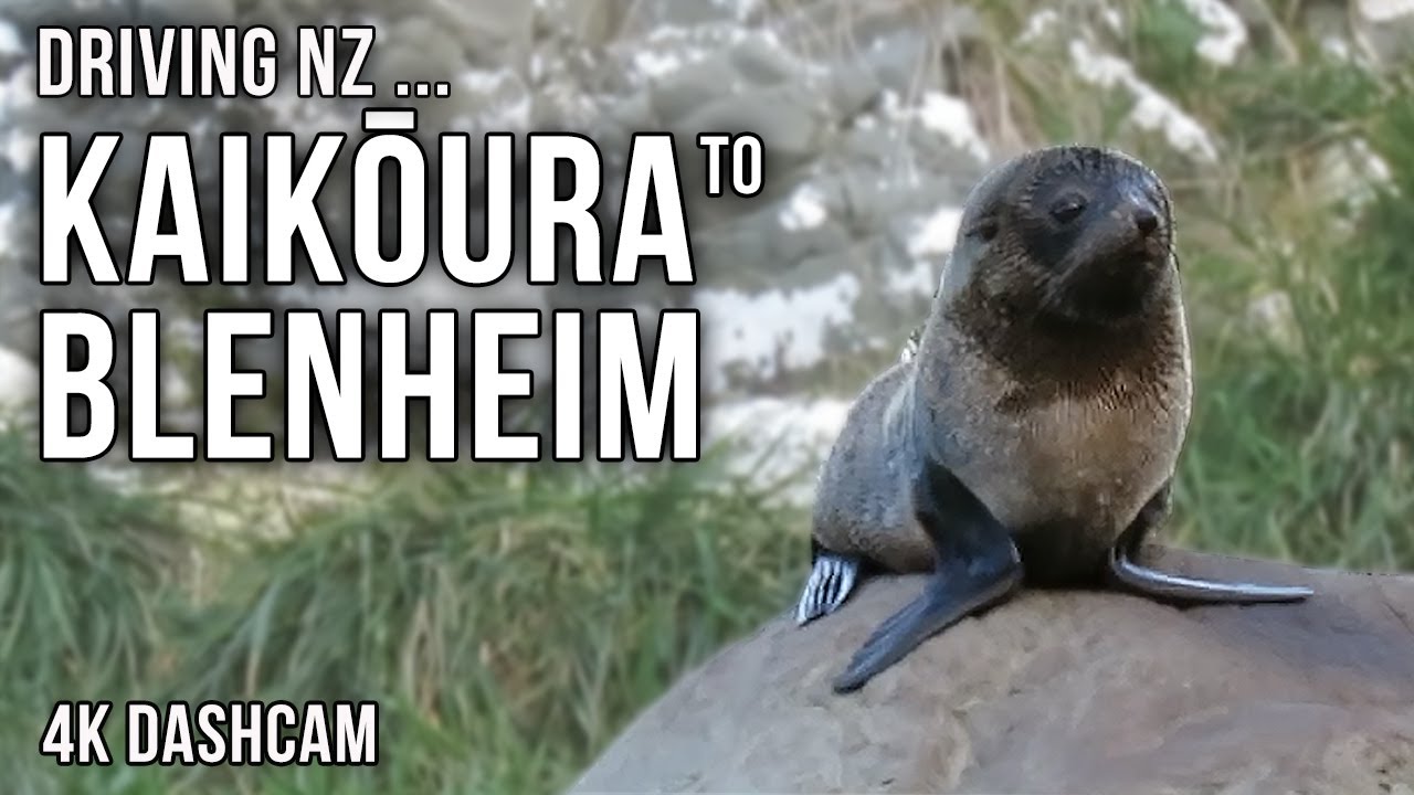Driving New Zealand: Kaikōura to Blenheim 4k