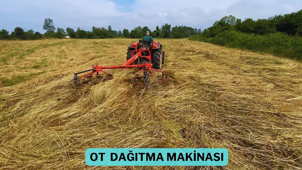 HELİKOPTER İLE OT DAĞITMA / REYGRAS OTLARI KURUYOR..