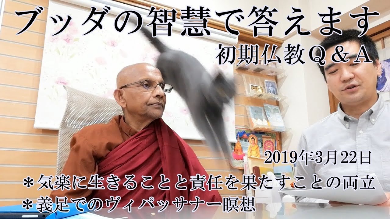 気楽に生きることと責任を果たすことの両立／義足でのヴィパッサナー瞑想 #スマナサーラ長老 #ブッダの智慧で答えます #jtba #仏教