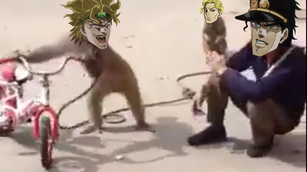 JoJo's Monkey Adventure | Part 1