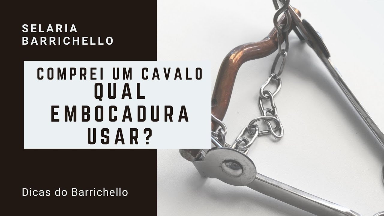 COMPREI UM CAVALO. QUAL EMBOCADURA USAR?