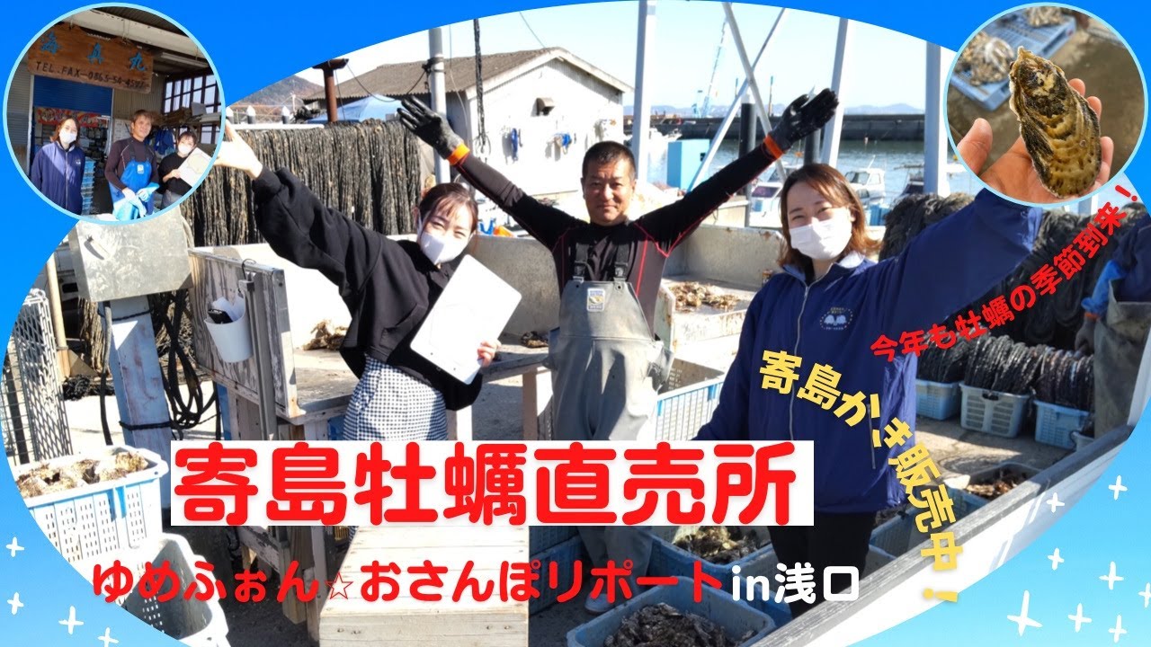 カキの季節到来！寄島漁港の牡蠣直売所巡り～ゆめふぉん・おさんぽリポート（2021年12月9日11:30～放送）